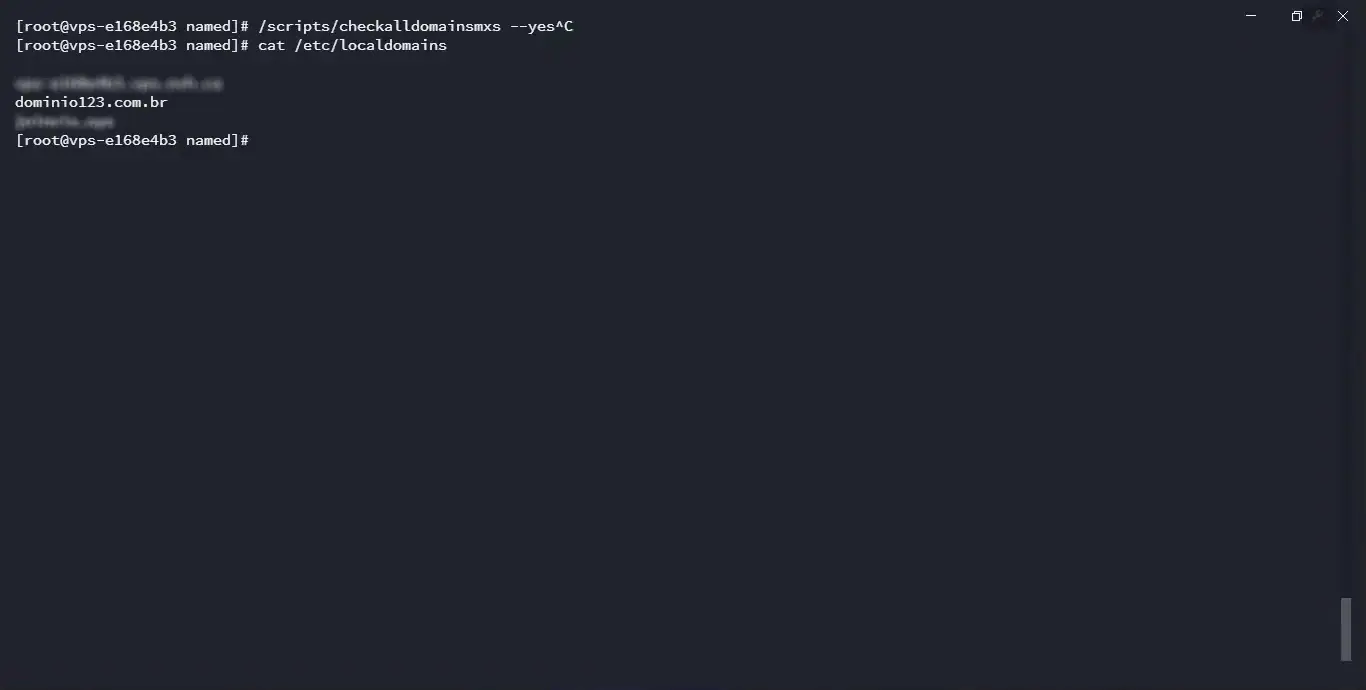 Terminal verification of /etc/localdomains confirming forced routing takeover