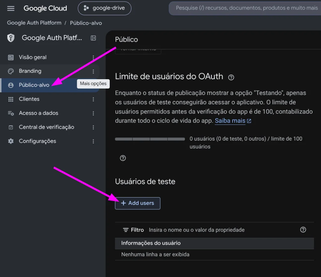 Figure 19: Audience panel in Google Auth Platform with Add users button