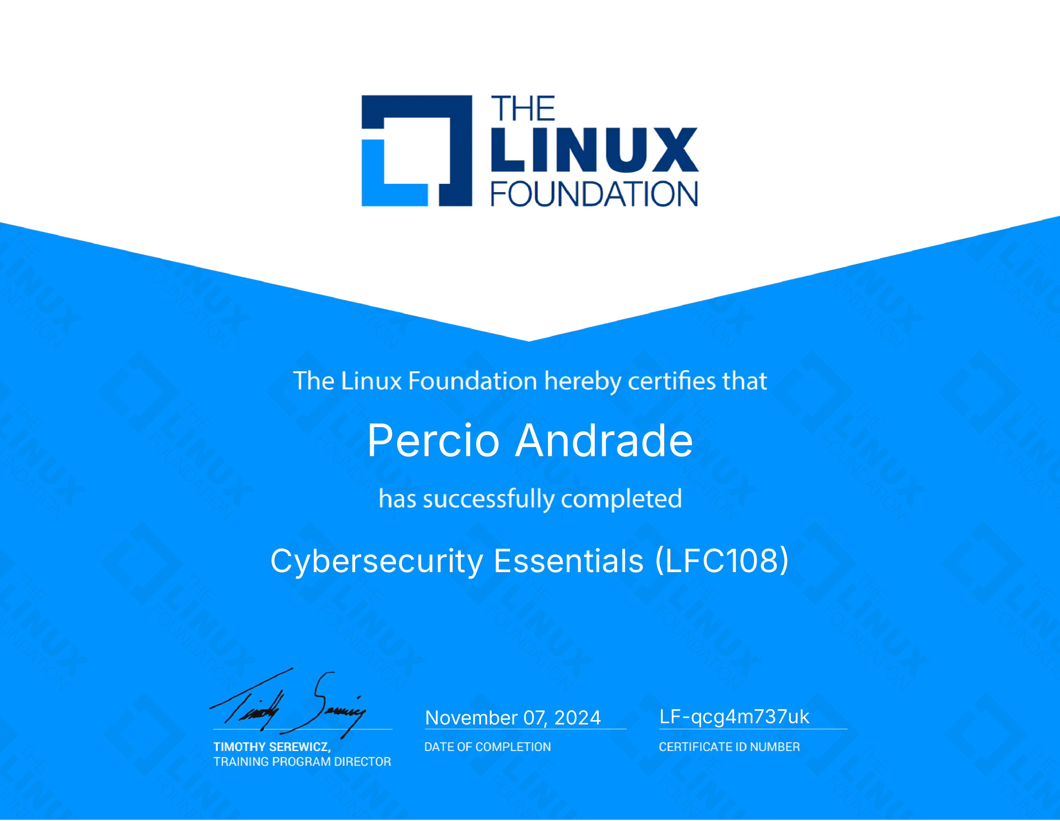Cybersecurity Essentials (LFC108)